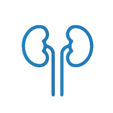 Genitourinary Cancer