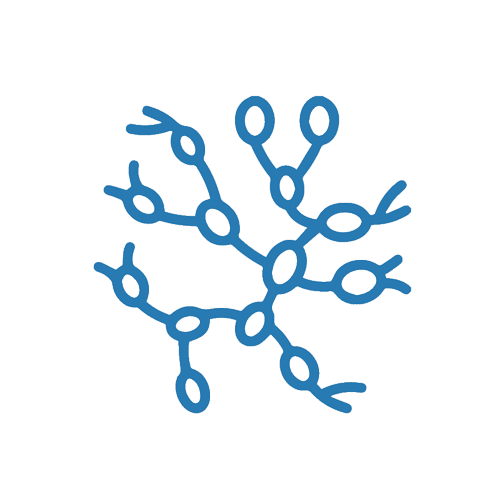 Lymph Node Cancer