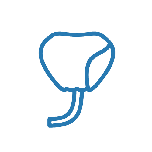 Prostate Cancer